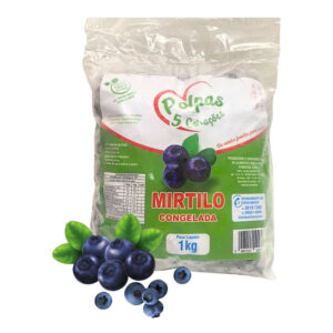 FRUTA CONGELADA MIRTILO 5 CORACOES 1KG