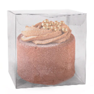 CAIXA CRISTAL ACETATO 10X22X8CM 10UN
