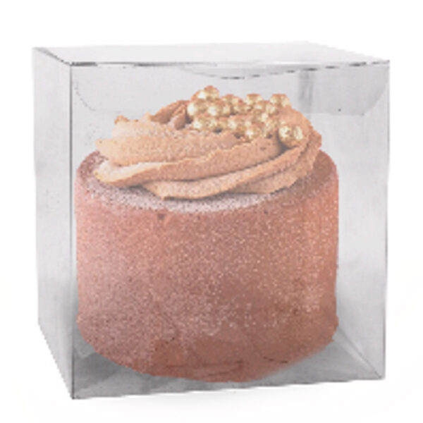 CAIXA CRISTAL ACETATO 10X22X8CM 10UN